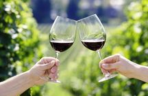 Horseback Riding with Wine Tour from Florence