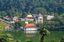Kandy Day Trip with Tooth Relic Temple & Unique Attractions
