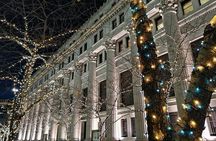 Tokyo Winter Illumination Ebike Tour