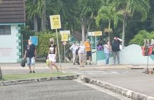Dunn's River Falls & Blue Hole Tour from Montego Bay