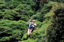 3-in-1 Monteverde Cloud Forest Hanging Bridges, Ziplining and Butterfly Garden