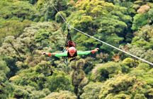 3-in-1 Monteverde Cloud Forest Hanging Bridges, Ziplining and Butterfly Garden