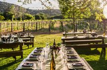 Vortex to Vineyards by ABC wildlife host Rachel Reenstra 
