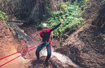 Canyoning with Waterfalls in the Rainforest - Small Groups ツ