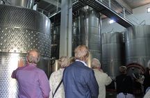 Private Full Day Wine Tour from Skopje to Popova Kula Winery