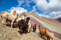Full Day Rainbow Mountain Cusco Trek - Vinicunca