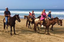 Horseback Riding Playa Larga