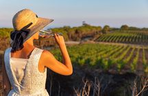 Aperitif on the Roof-Top Terrace at Tenuta delle Ripalte
