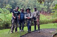 Monteverde Birdwatching Experience