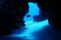 FunDiving in Cozumel - By Ferry - 2 Tanks in the wonderful Caribbean sea