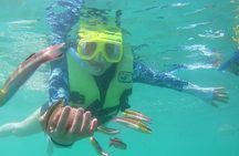 Snorkeling Tour in Ixtapa Island