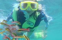 Snorkeling Tour in Ixtapa Island