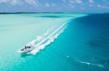 Reef Discovery Private Dream Day Tour