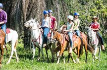 5-in-1 Rincon de la Vieja National Park Adventure Day Tour