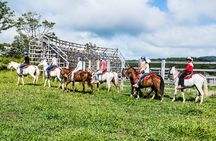 5-in-1 Rincon de la Vieja National Park Adventure Day Tour