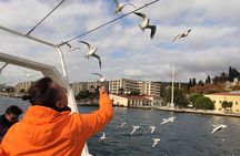 2-Hour Bosphorus Cruise in Istanbul with Guide
