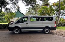 Road to Hana Private Jungle Tour with Lahaina Side pick up