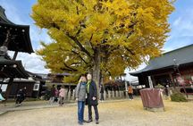 Takayama Local Cuisine, Food & Sake Cultural Tour with Government-Licensed Guide