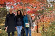 Takayama Local Cuisine, Food & Sake Cultural Tour with Government-Licensed Guide