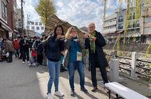 Takayama Arts & Crafts Local Culture Tour, Licensed Guide