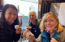 Takayama Arts & Crafts Local Culture Tour, Licensed Guide