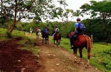 Horseback Riding to Arenal Volcano with Hot Springs
