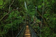 3-in-1 Rincon de la Vieja National Park Nature Day Tour