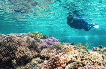 Rottnest Island Guided Snorkel Boat Experience