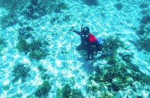 Rottnest Island Guided Snorkel Boat Experience