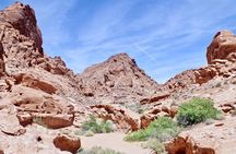 Safari Day Tour To Wadi El Gamal National Park From Marsa Alam