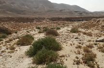 Safari Day Tour To Wadi El Gamal National Park From Marsa Alam
