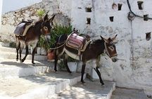 Full-Day Сomprehensive Tour of Rhodes including Wine Tasting 