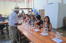 Ica: Pisco and Peruvian Wine Route