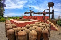 Ica: Pisco and Peruvian Wine Route