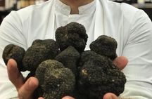 Taste the Best Italian Food & Wine