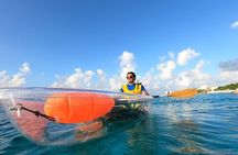 Clear Kayaking, Sea Scooters & Lunch 