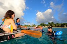 Clear Kayaking, Sea Scooters & Lunch 