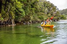 2 Day Freedom Kayak - Kayak Rental - New Zealand