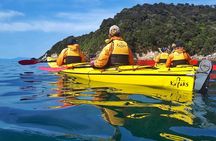 2 Day Freedom Kayak - Kayak Rental - New Zealand