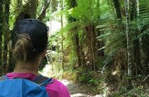 3 Day Kayak & Walk North New Zealand