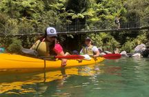 3 Day Kayak & Walk North New Zealand
