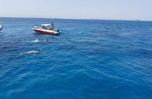 PRIVATE TOUR ! 4-Hours Swiming with dolphins, snorkeling, island by speed boat