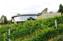 Bilbao Txakoli Wine Tasting & Local Flavors in Urdaibai Biosphere