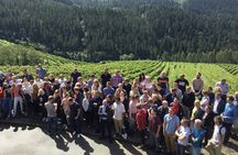 Bilbao Txakoli Wine Tasting & Local Flavors in Urdaibai Biosphere