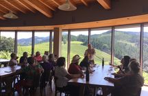 Bilbao Txakoli Wine Tasting & Local Flavors in Urdaibai Biosphere