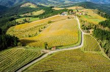 Bilbao Txakoli Wine Tasting & Local Flavors in Urdaibai Biosphere