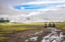 5 Days Private luxury Safari to Tarangire, Serengeti & Ngorongoro