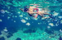 Breathtaking experience driving a speedboat in Cancun with Snorkeling included