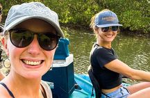 Kayak Through the Mangroves 
