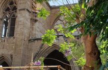 Private Day Tour in Nicosia and Kyrenia (Nicosia/ Kyrenia Hotels)